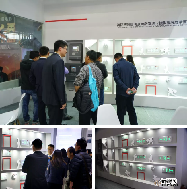 ���_(d��)LD8000ϵ��ɭ�֜��늴����@�G����2019�������H����չ-�ڿƼ���ȫ��